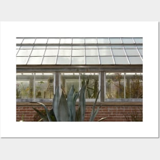 Plant Lady Succulent Cactus Greenhouse Posters and Art